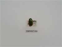 藏品(黃豔金龜)的圖片